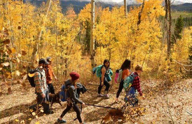Denver Fall Hikes