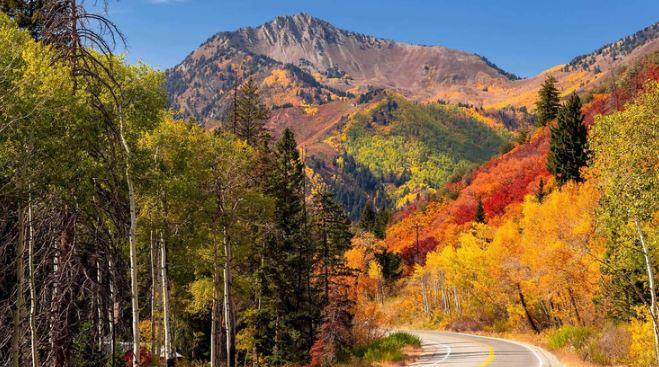Colorado Fall Colors