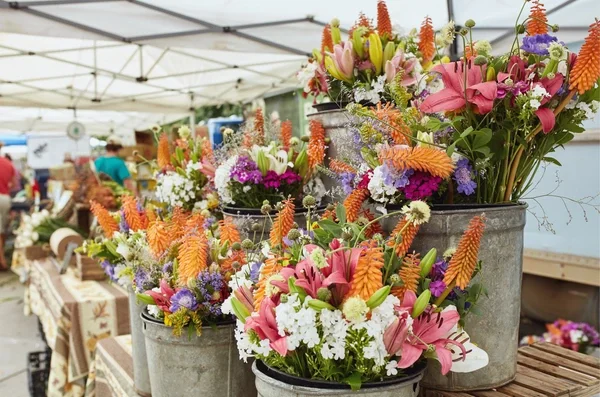 Colorado Dragon Boat Film Festival