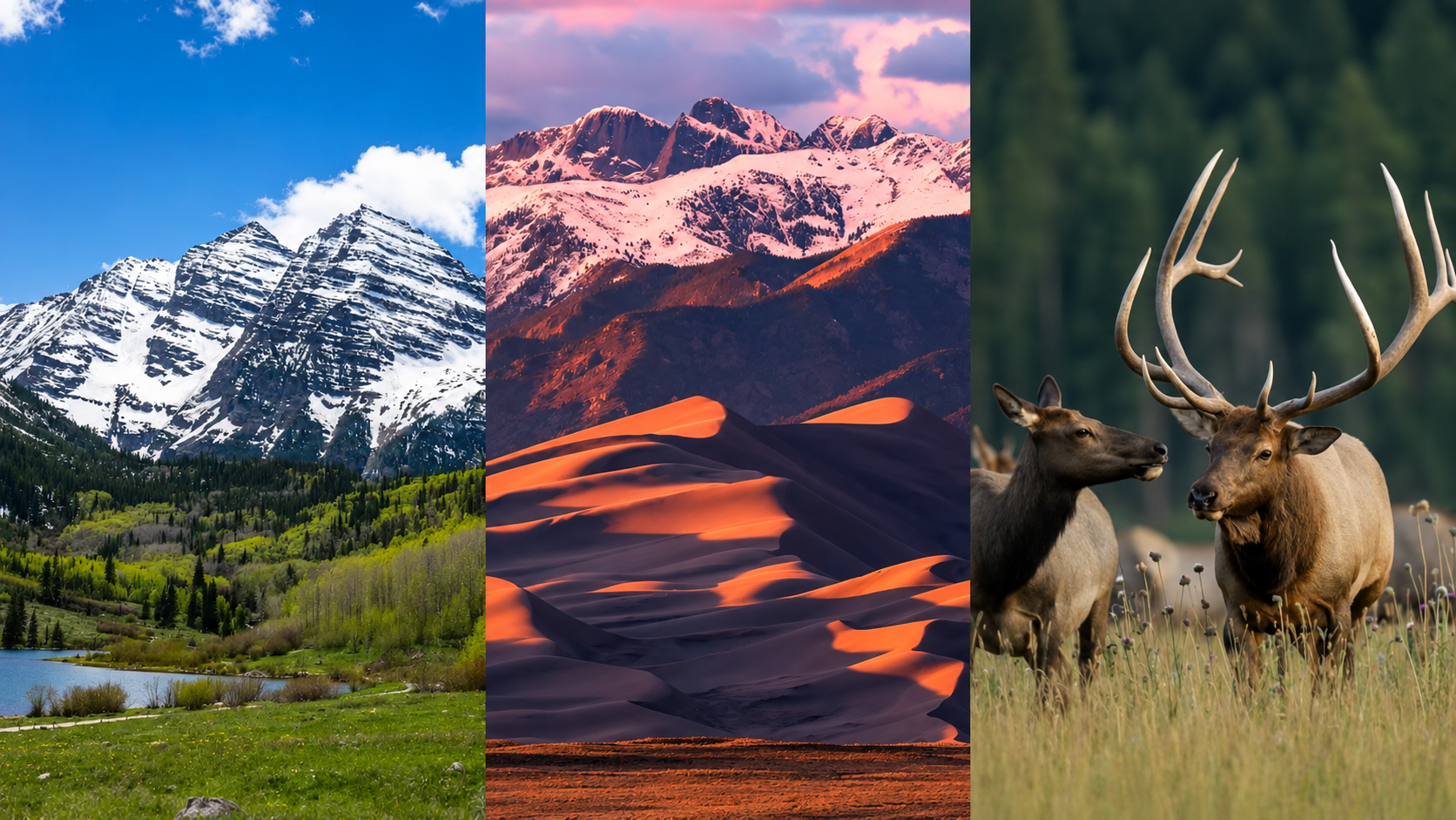 Maroon Bells, Great Sand Dunes, and a Colorado elk herd